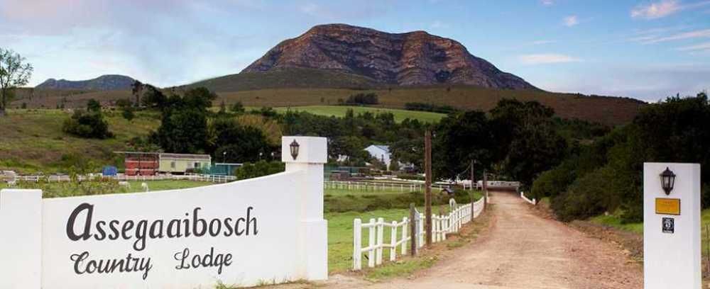 Assegaaibosch Country Lodge Kareedouw Buitenkant foto