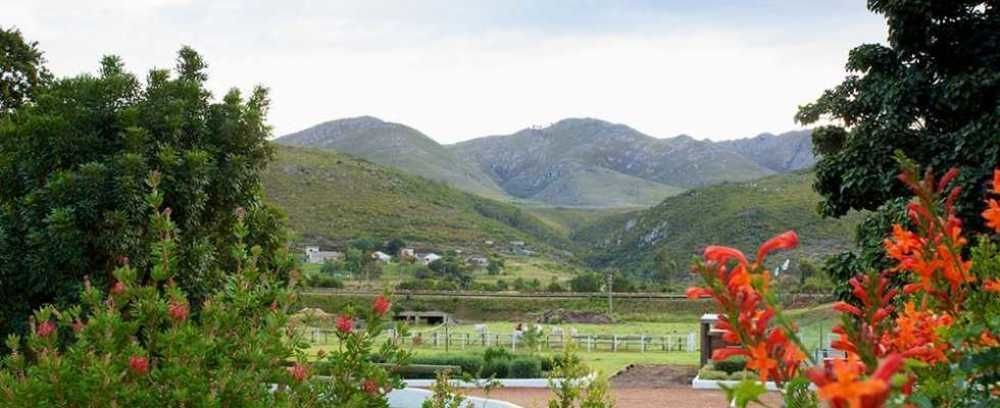 Assegaaibosch Country Lodge Kareedouw Buitenkant foto